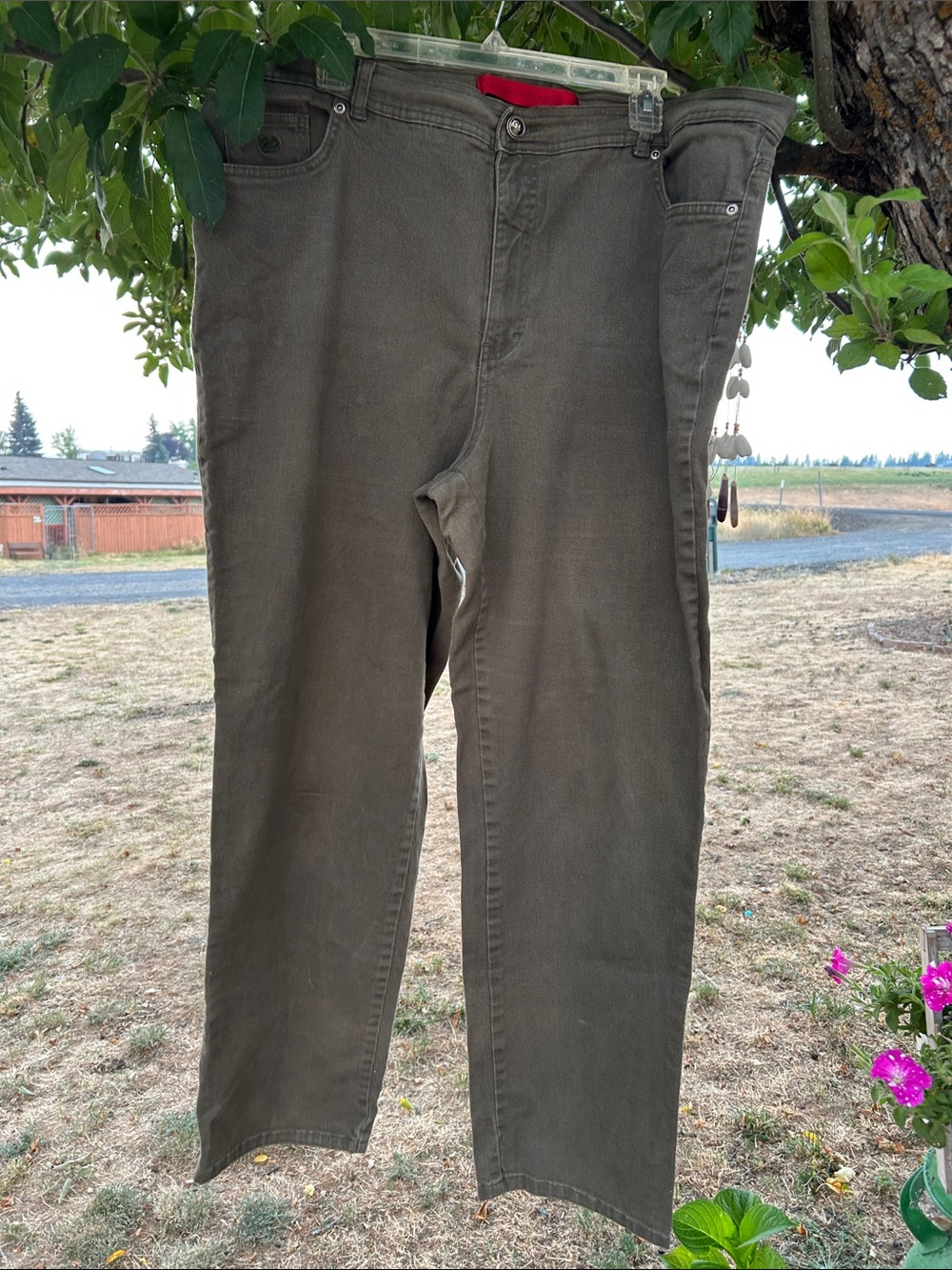 Gloria Vanderbilt Olive Green Straight Leg Pants 2x